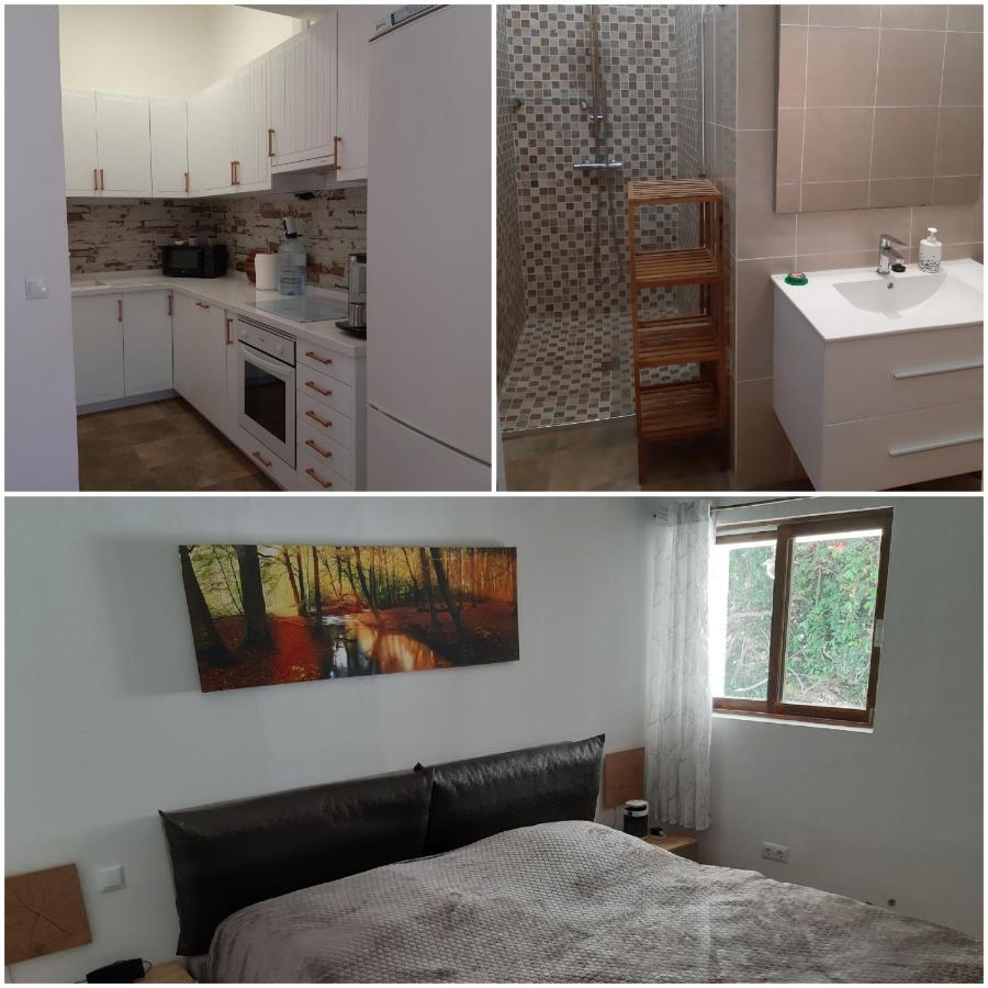 Schoene Wohnung In Puerto De La Cruz Mit Garten. Dış mekan fotoğraf